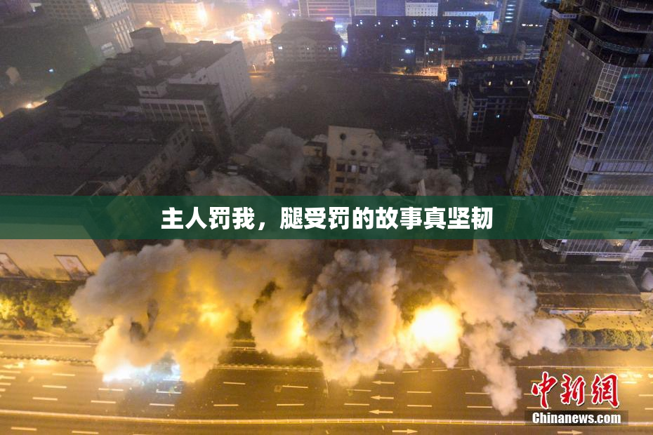 主人罚我，腿受罚的故事真坚韧