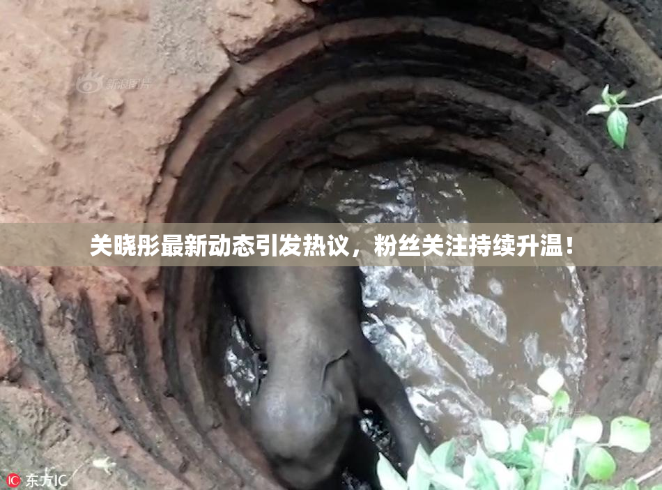 关晓彤最新动态引发热议，粉丝关注持续升温！