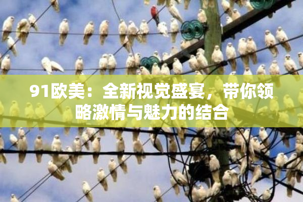 91欧美：全新视觉盛宴，带你领略激情与魅力的结合