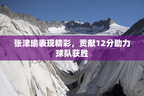 张津瑜表现精彩，贡献12分助力球队获胜