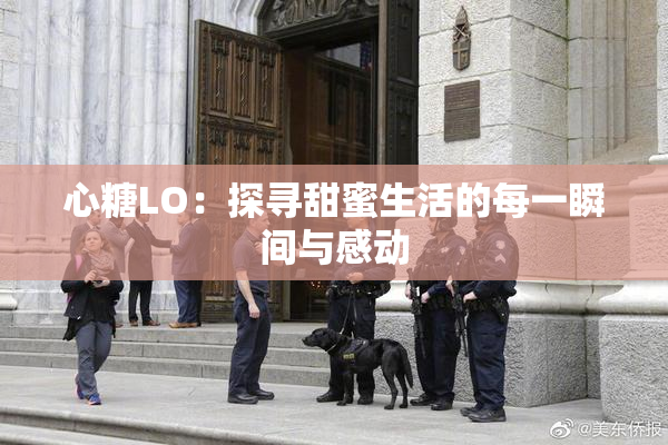 心糖LO：探寻甜蜜生活的每一瞬间与感动