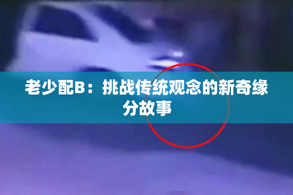 老少配B：挑战传统观念的新奇缘分故事