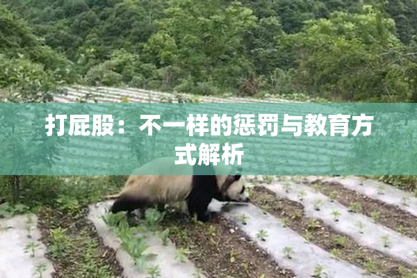 打屁股：不一样的惩罚与教育方式解析