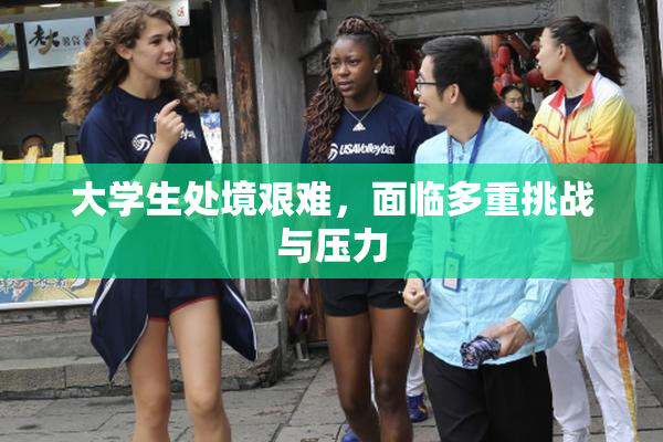 大学生处境艰难，面临多重挑战与压力