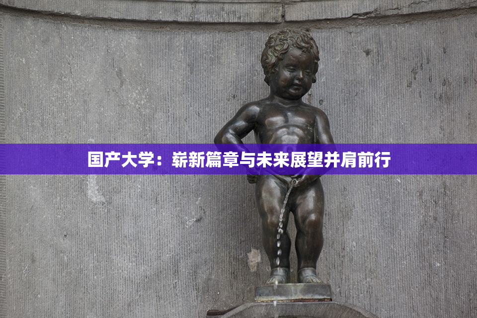 国产大学：崭新篇章与未来展望并肩前行