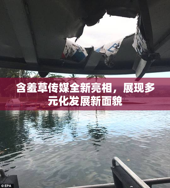 含羞草传媒全新亮相，展现多元化发展新面貌
