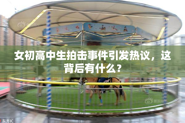 女初高中生拍击事件引发热议，这背后有什么？