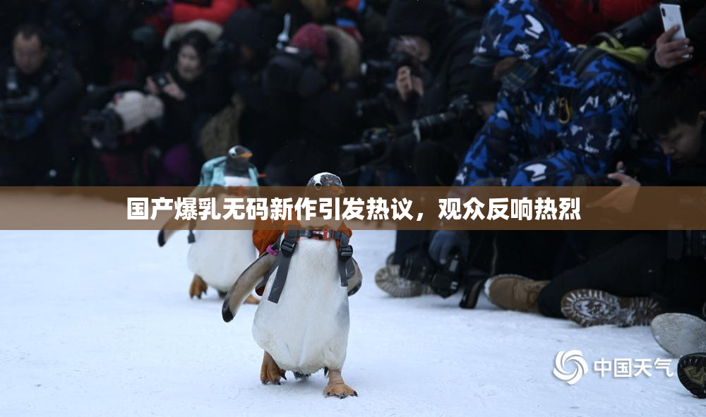 国产爆乳无码新作引发热议，观众反响热烈