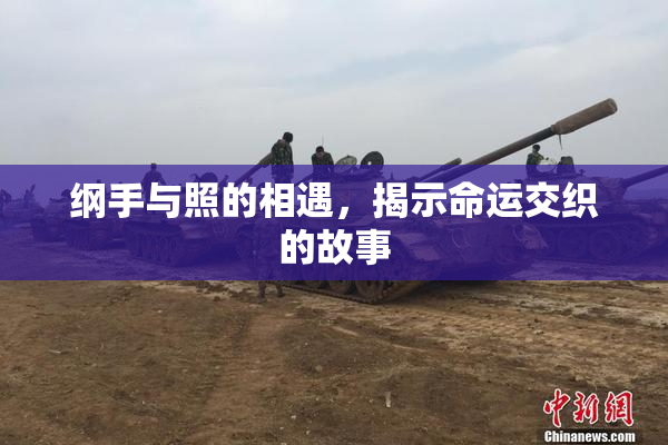 纲手与照的相遇，揭示命运交织的故事