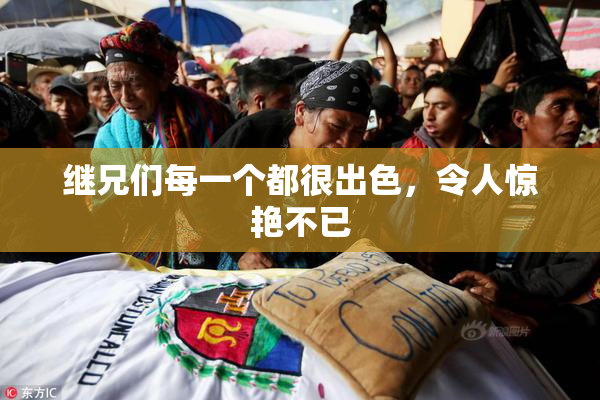 继兄们每一个都很出色，令人惊艳不已