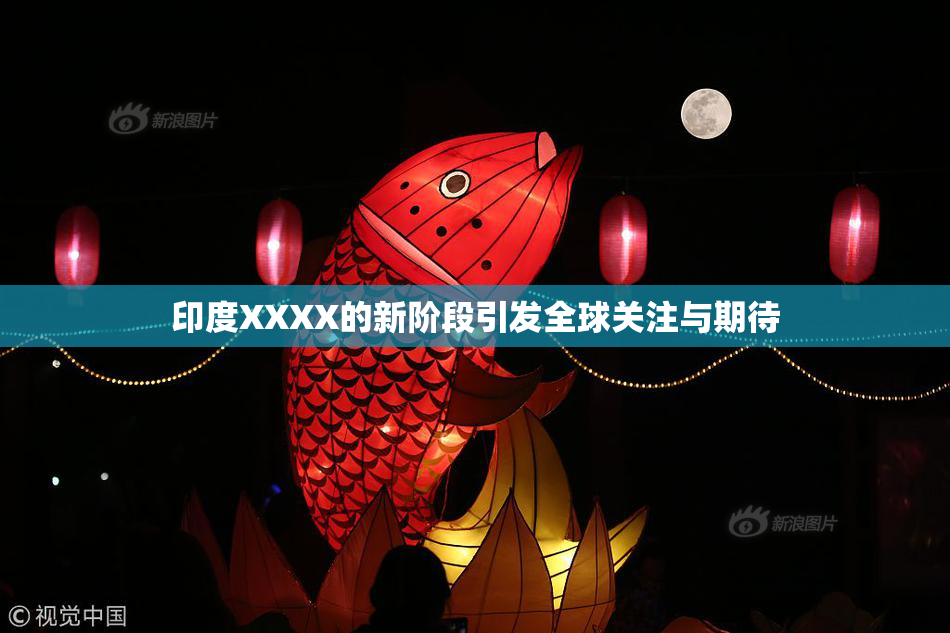印度XXXX的新阶段引发全球关注与期待
