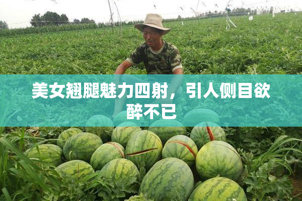 美女翘腿魅力四射，引人侧目欲醉不已