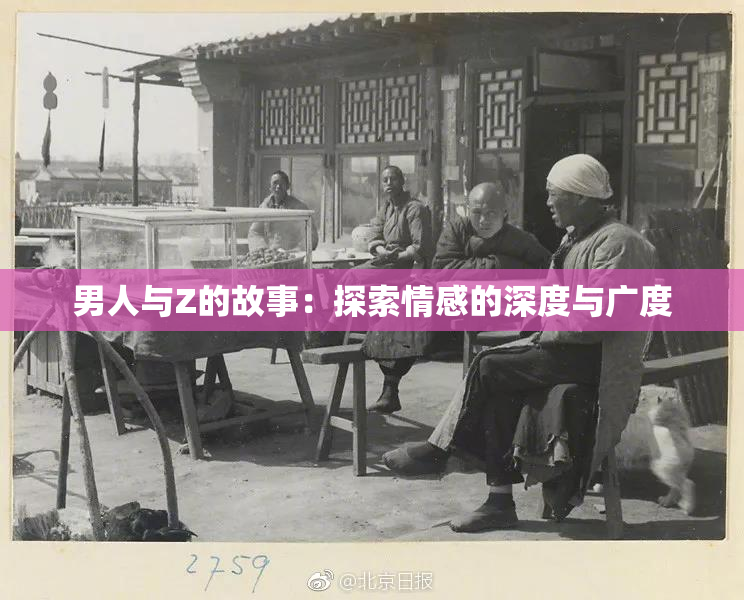 男人与Z的故事：探索情感的深度与广度