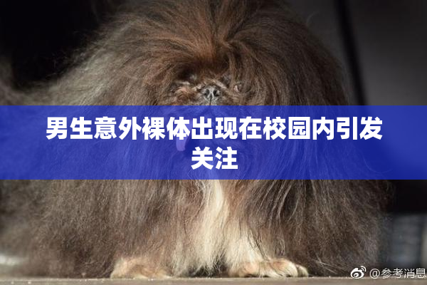 男生意外裸体出现在校园内引发关注