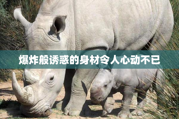 爆炸般诱惑的身材令人心动不已