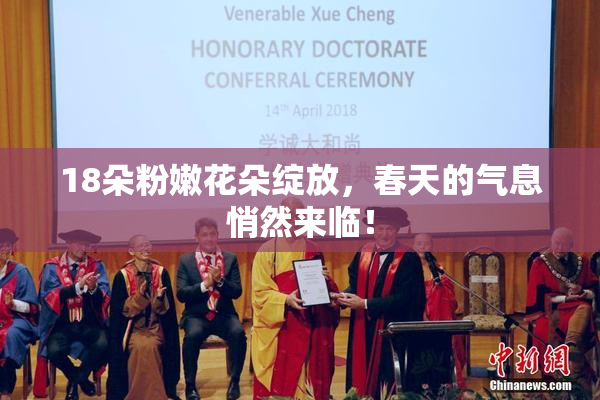 18朵粉嫩花朵绽放，春天的气息悄然来临！