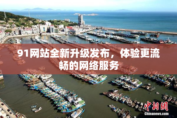 91网站全新升级发布，体验更流畅的网络服务