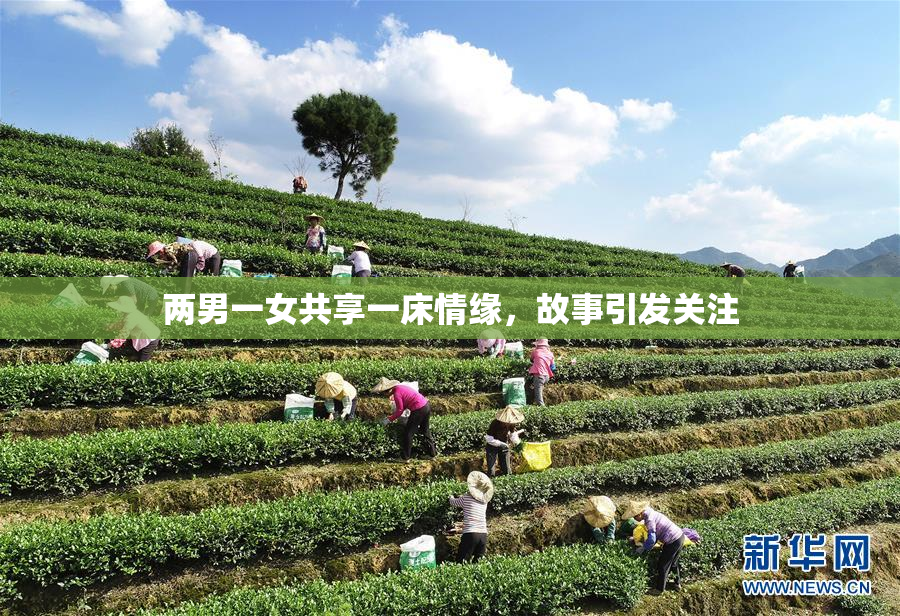 两男一女共享一床情缘，故事引发关注