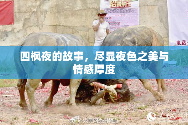 四枫夜的故事，尽显夜色之美与情感厚度