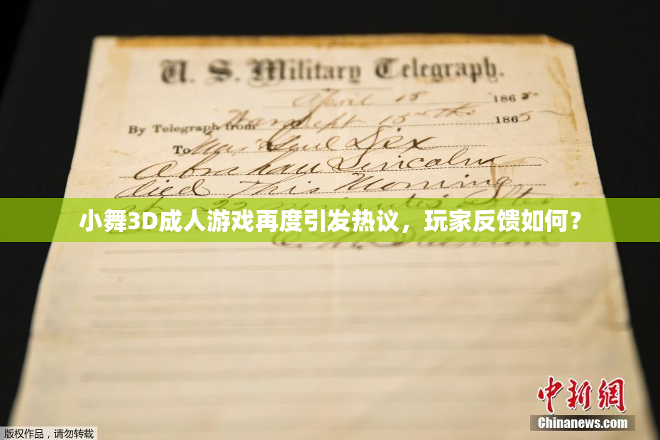 小舞3D成人游戏再度引发热议，玩家反馈如何？