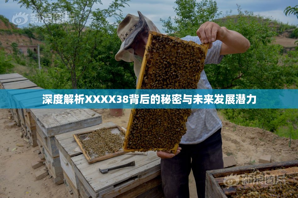 深度解析XXXX38背后的秘密与未来发展潜力