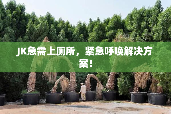 JK急需上厕所，紧急呼唤解决方案！