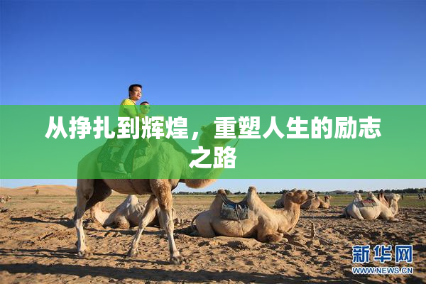 从挣扎到辉煌，重塑人生的励志之路