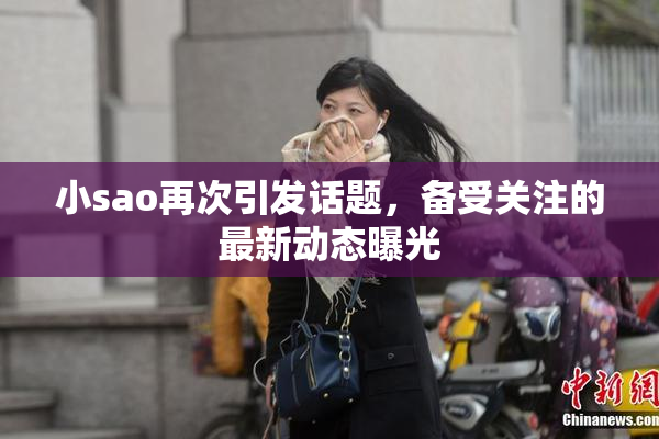 小sao再次引发话题，备受关注的最新动态曝光