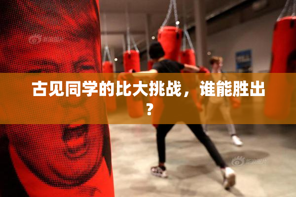 古见同学的比大挑战，谁能胜出？