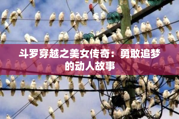 斗罗穿越之美女传奇：勇敢追梦的动人故事