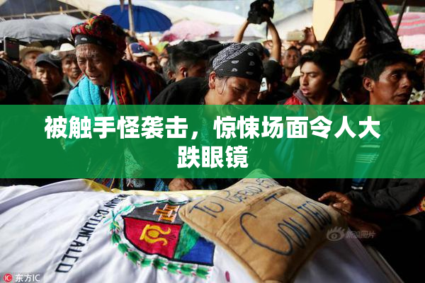 被触手怪袭击，惊悚场面令人大跌眼镜