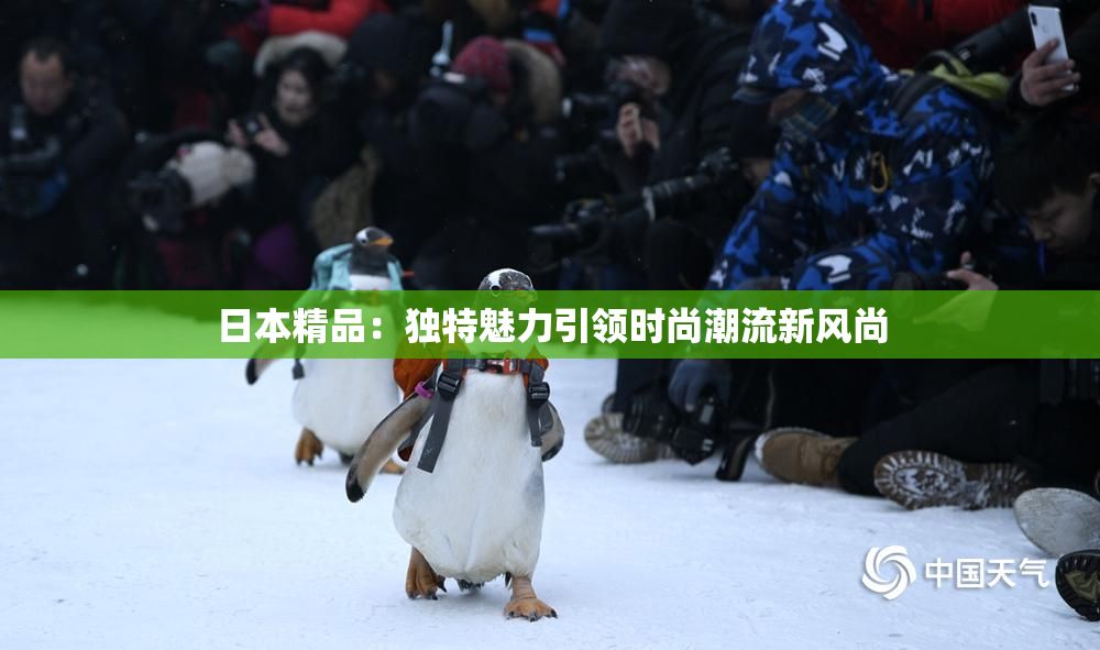 日本精品：独特魅力引领时尚潮流新风尚