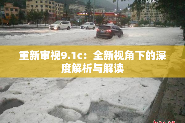 重新审视9.1c：全新视角下的深度解析与解读