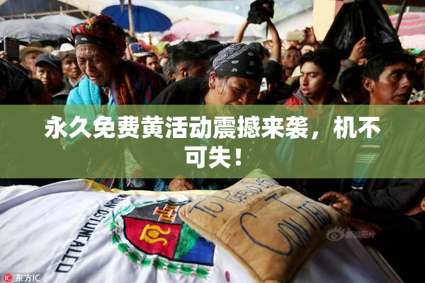 永久免费黄活动震撼来袭，机不可失！