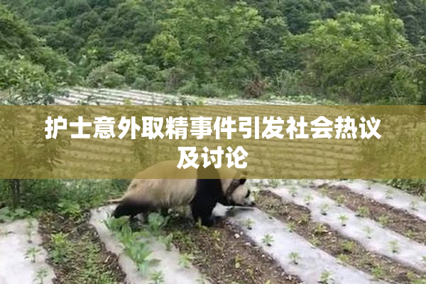 护士意外取精事件引发社会热议及讨论