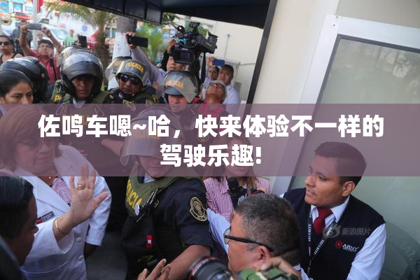 佐鸣车嗯~哈，快来体验不一样的驾驶乐趣!