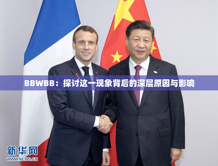 BBWBB：探讨这一现象背后的深层原因与影响
