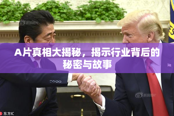 A片真相大揭秘，揭示行业背后的秘密与故事