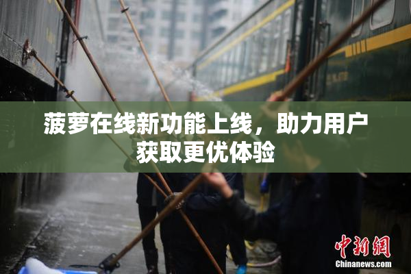 菠萝在线新功能上线，助力用户获取更优体验