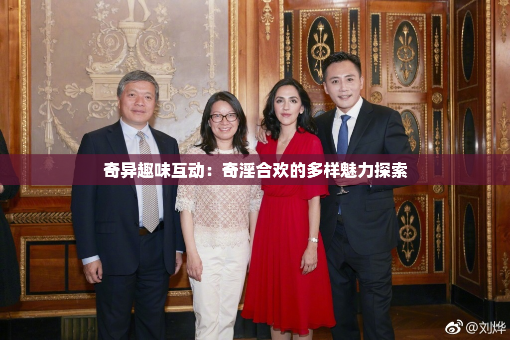 奇异趣味互动：奇淫合欢的多样魅力探索