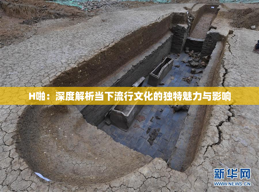 H啪：深度解析当下流行文化的独特魅力与影响