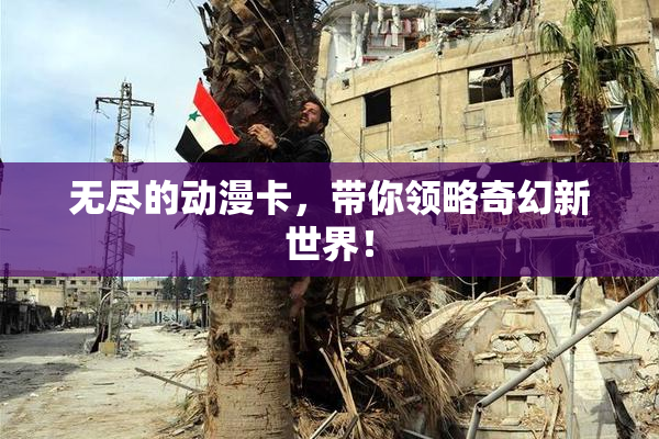无尽的动漫卡，带你领略奇幻新世界！