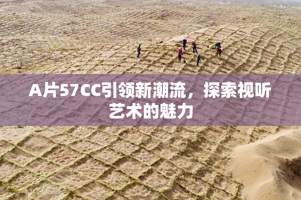 A片57CC引领新潮流，探索视听艺术的魅力