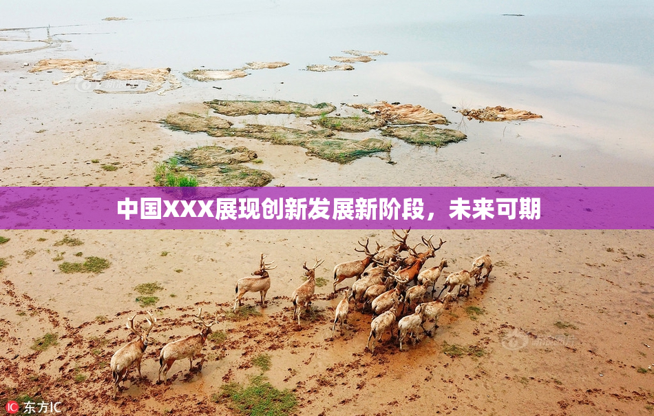 中国XXX展现创新发展新阶段，未来可期
