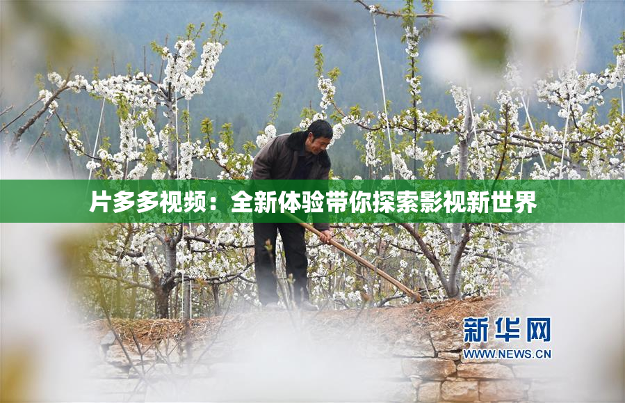 片多多视频：全新体验带你探索影视新世界
