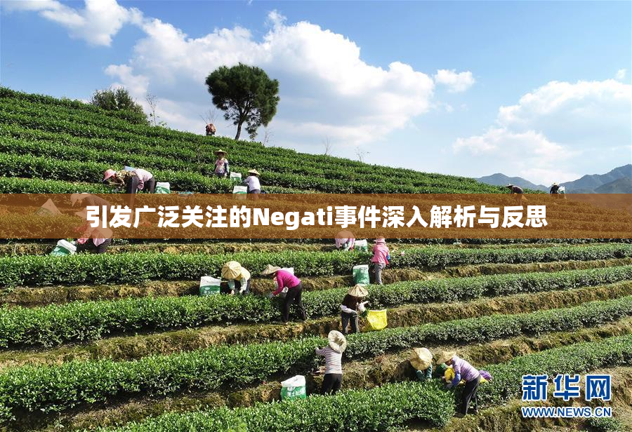 引发广泛关注的Negati事件深入解析与反思