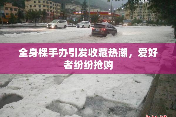 全身棵手办引发收藏热潮，爱好者纷纷抢购