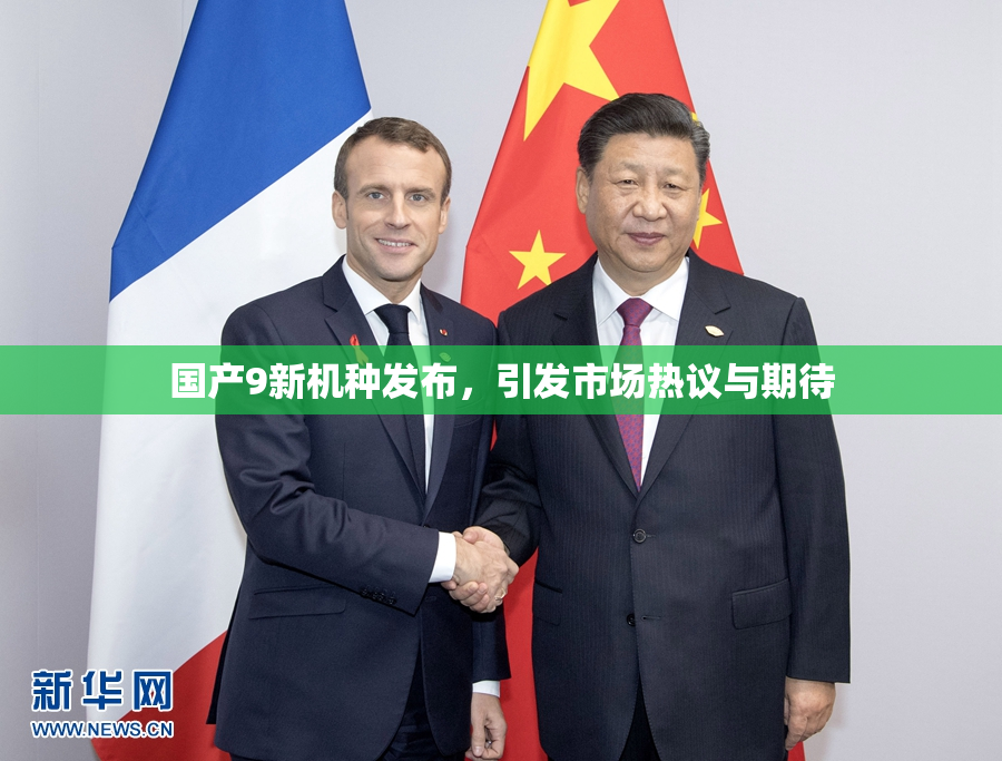 国产9新机种发布，引发市场热议与期待