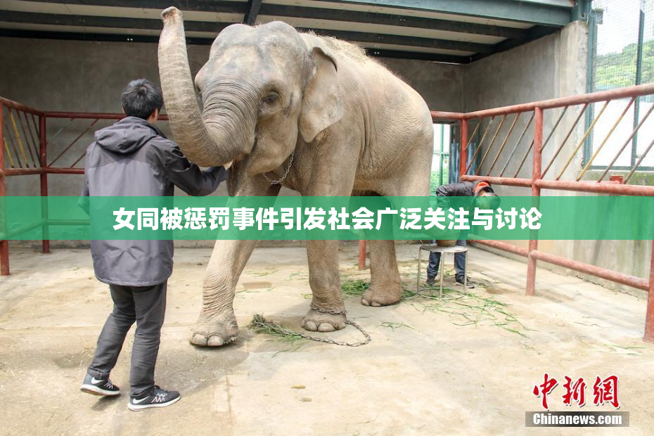 女同被惩罚事件引发社会广泛关注与讨论