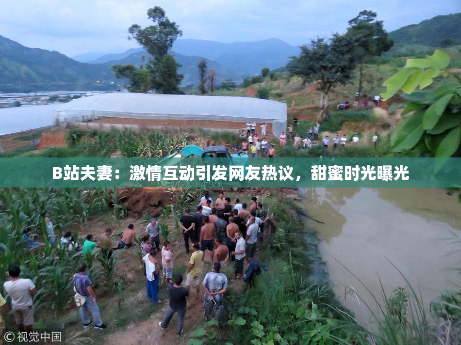 B站夫妻：激情互动引发网友热议，甜蜜时光曝光